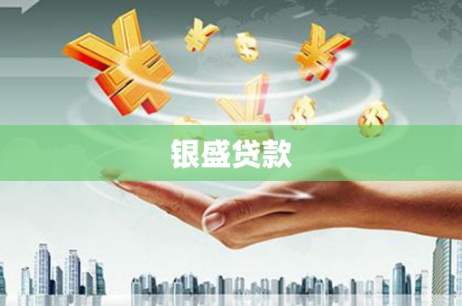 共和银盛贷款