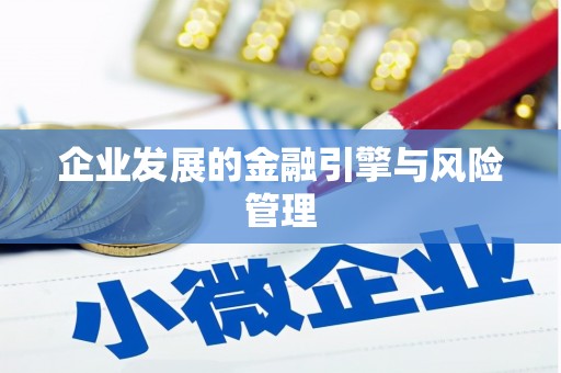 南化企业发展的金融引擎与风险管理