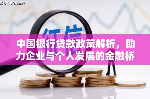 芦淞中国银行贷款政策解析，助力企业与个人发展的金融桥梁