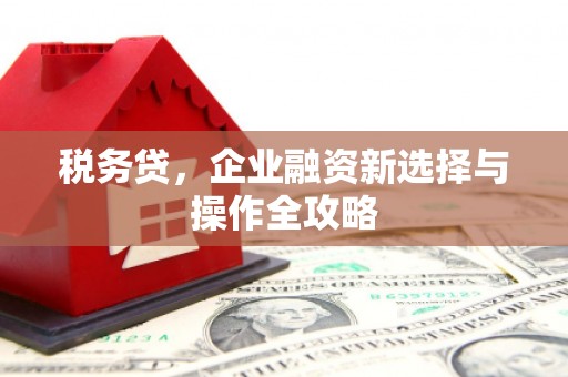 徐水税务贷，企业融资新选择与操作全攻略