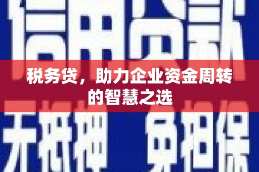 竹崎税务贷，助力企业资金周转的智慧之选