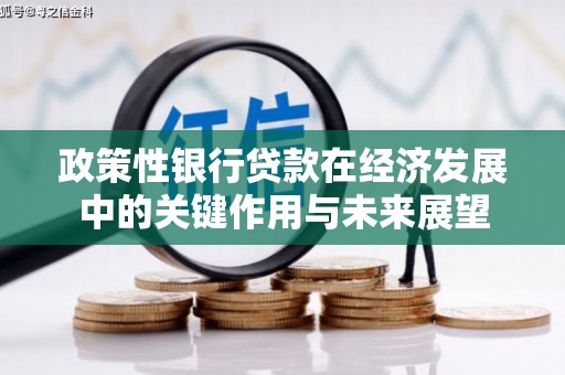 新会政策性银行贷款在经济发展中的关键作用与未来展望