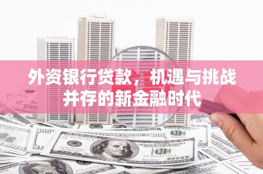 汾阳外资银行贷款，机遇与挑战并存的新金融时代