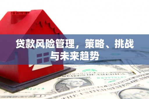 吉隆贷款风险管理，策略、挑战与未来趋势