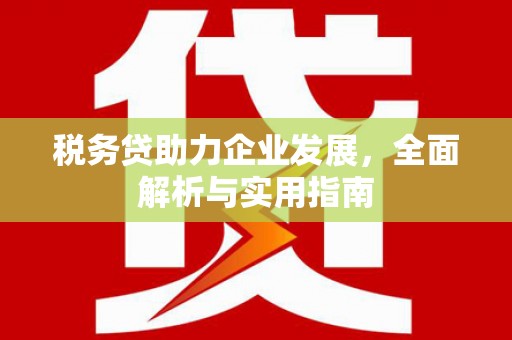 中正税务贷助力企业发展，全面解析与实用指南