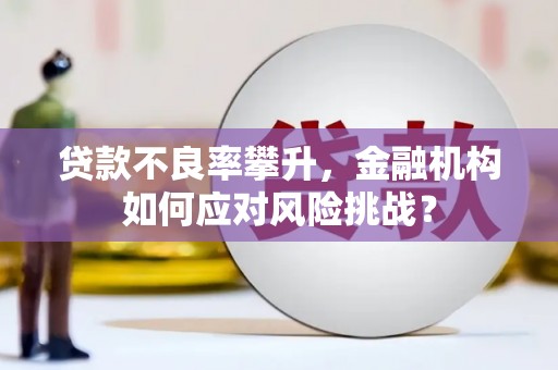 六甲贷款不良率攀升，金融机构如何应对风险挑战？