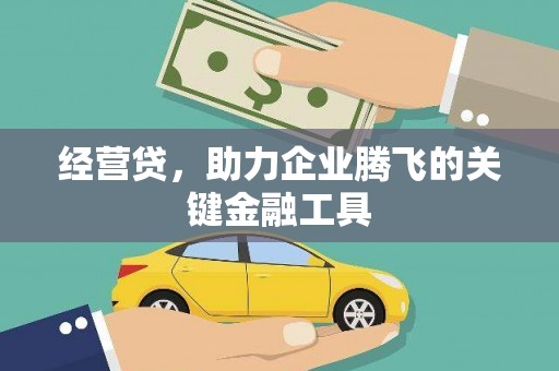 元谋经营贷，助力企业腾飞的关键金融工具