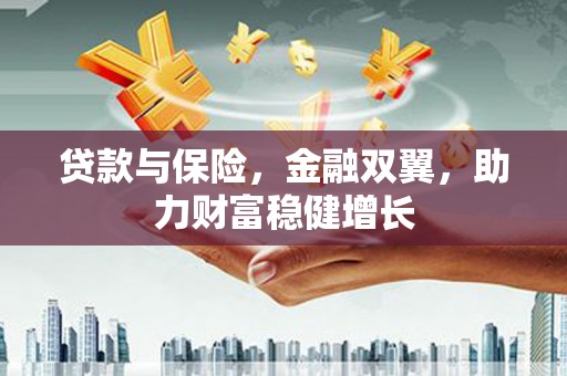 泸溪贷款与保险，金融双翼，助力财富稳健增长