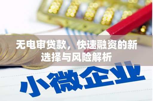 崖州无电审贷款，快速融资的新选择与风险解析