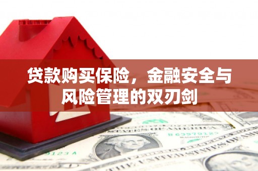 顺河贷款购买保险，金融安全与风险管理的双刃剑