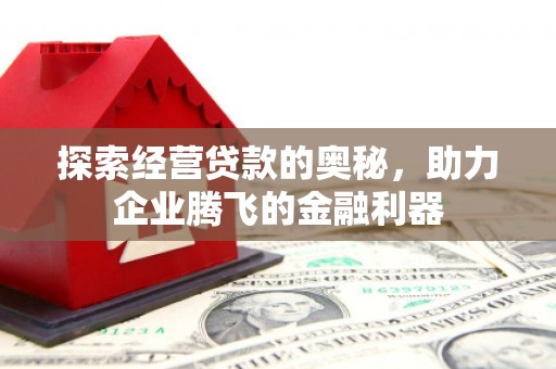 德州探索经营贷款的奥秘，助力企业腾飞的金融利器