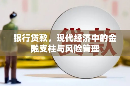 禄丰银行贷款，现代经济中的金融支柱与风险管理