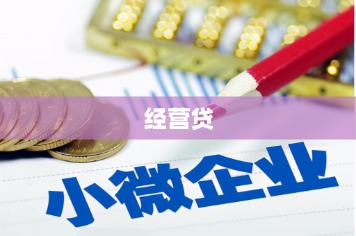 岳塘经营贷