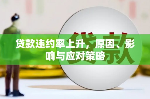 洛宁贷款违约率上升，原因、影响与应对策略