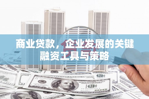 海陵商业贷款，企业发展的关键融资工具与策略