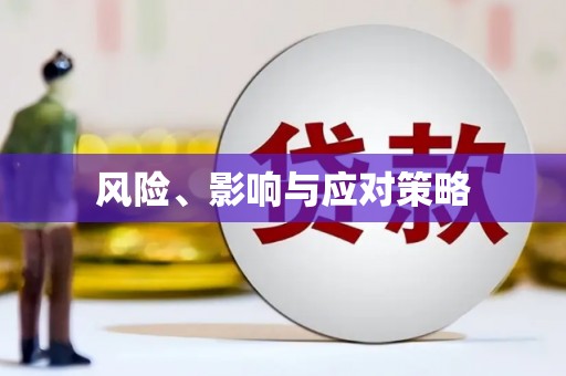 淮上风险、影响与应对策略