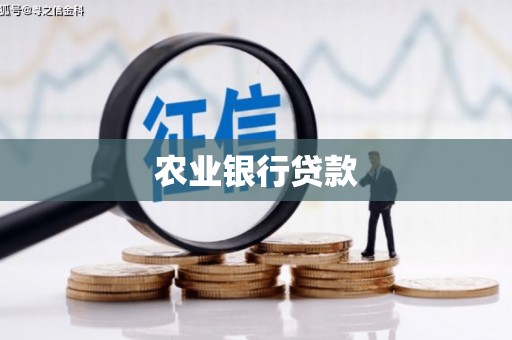 汾阳农业银行贷款