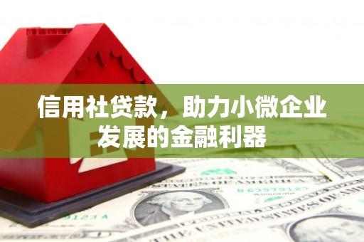 郴州信用社贷款，助力小微企业发展的金融利器