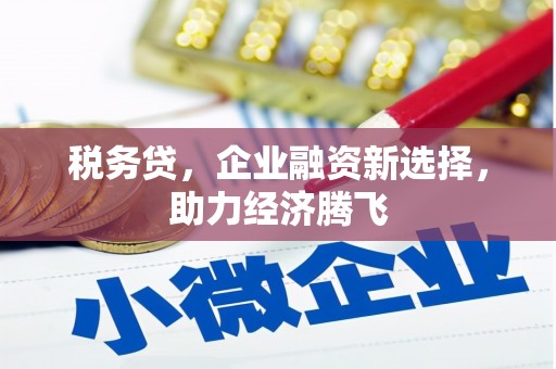 安康税务贷，企业融资新选择，助力经济腾飞