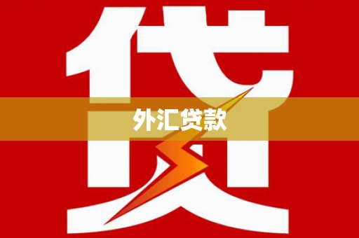 岚山外汇贷款