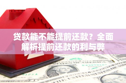 安定贷款能不能提前还款？全面解析提前还款的利与弊