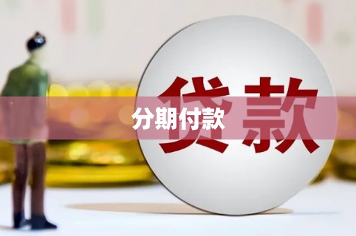 鱼峰分期付款