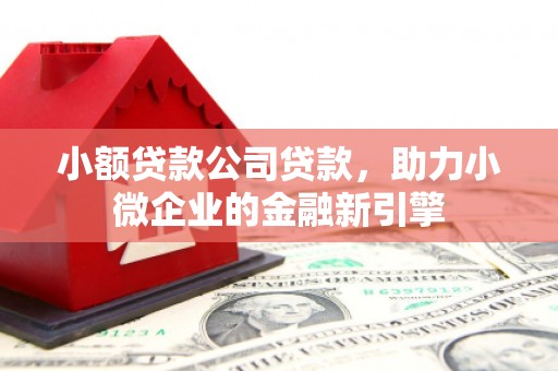 淮上小额贷款公司贷款，助力小微企业的金融新引擎