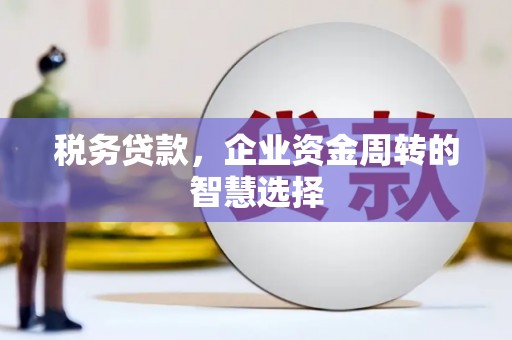 五河税务贷款，企业资金周转的智慧选择