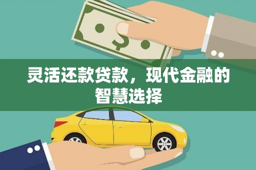 八宿灵活还款贷款，现代金融的智慧选择