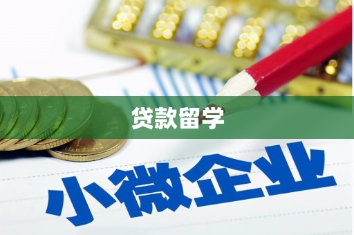 雾台贷款留学