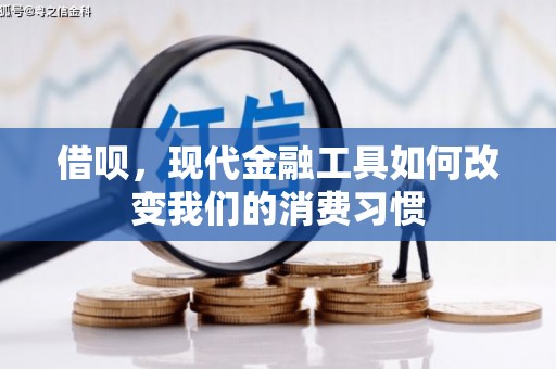蒲城借呗，现代金融工具如何改变我们的消费习惯