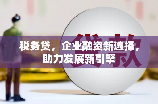 文安税务贷，企业融资新选择，助力发展新引擎
