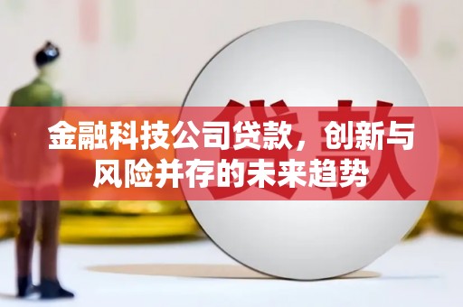 新巴尔虎左旗金融科技公司贷款，创新与风险并存的未来趋势