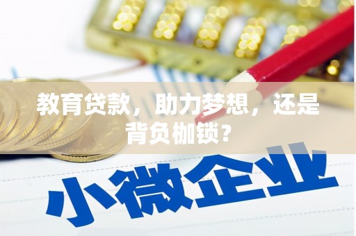 芦山教育贷款，助力梦想，还是背负枷锁？