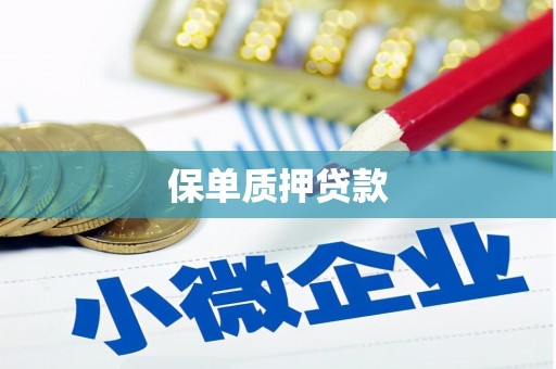 西畴保单质押贷款