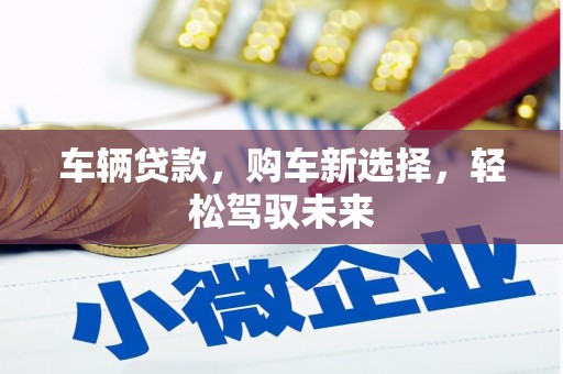 芦洲车辆贷款，购车新选择，轻松驾驭未来