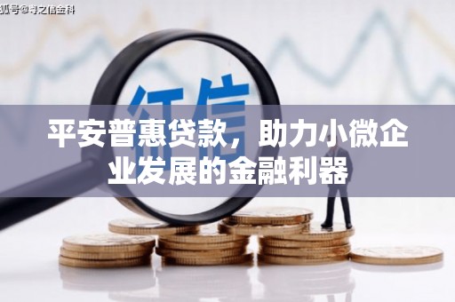 梅州平安普惠贷款，助力小微企业发展的金融利器