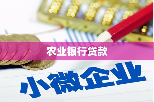 碑林农业银行贷款