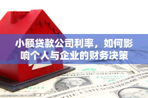 大里小额贷款公司利率，如何影响个人与企业的财务决策