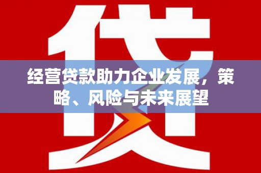 海安经营贷款助力企业发展，策略、风险与未来展望