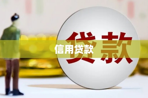 项城信用贷款