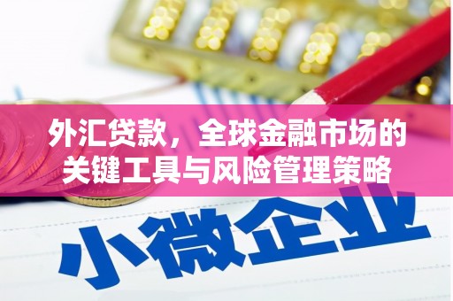 竹山外汇贷款，全球金融市场的关键工具与风险管理策略
