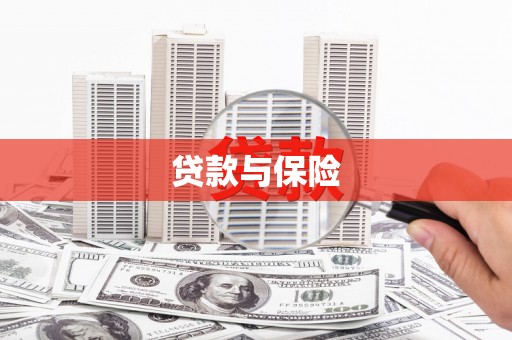 顺河贷款与保险
