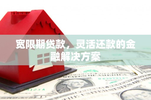 忻府宽限期贷款，灵活还款的金融解决方案