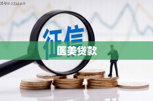 湘东医美贷款