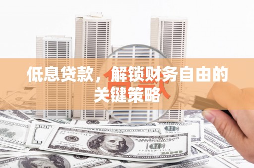 苏尼特右旗低息贷款，解锁财务自由的关键策略