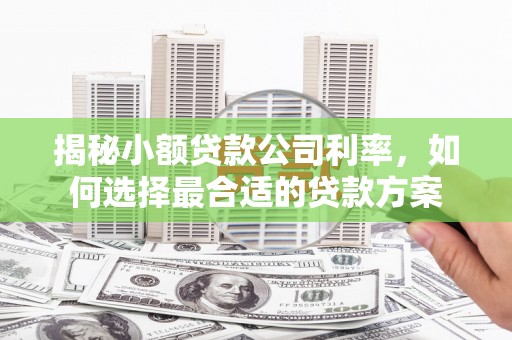 赤城揭秘小额贷款公司利率，如何选择最合适的贷款方案