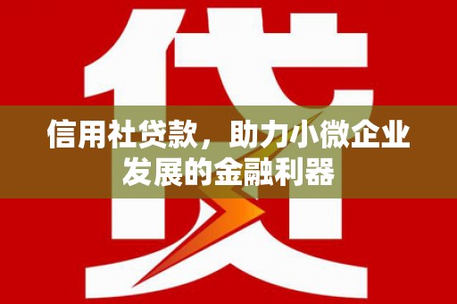 丹巴信用社贷款，助力小微企业发展的金融利器