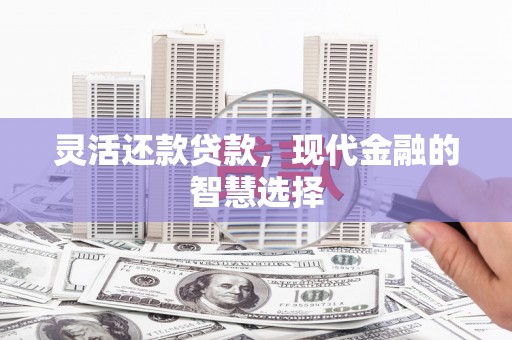金乡灵活还款贷款，现代金融的智慧选择