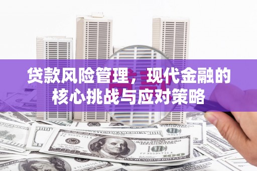 桑植贷款风险管理，现代金融的核心挑战与应对策略